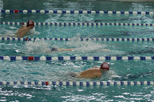 乐鱼足球官网-亚洲游泳冠军赛孙杨携队友力夺接力金，中国游泳冠军孙扬